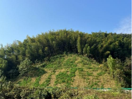 1720146335912063083.png image.png