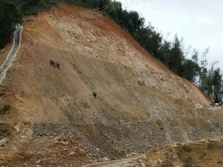 1754273452332043809.jpg f22980a5a6b5e8fb71c53dded3a99dda.jpg